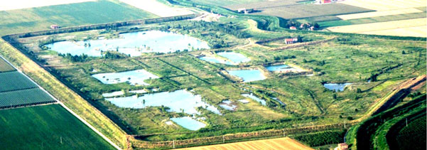 Area d'espansione Torrente Samoggia, Le Budrie di Persiceto